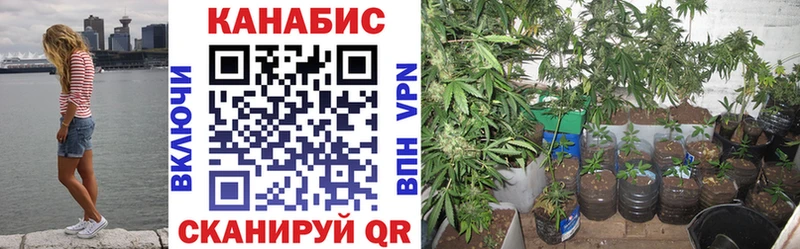 Бошки марихуана THC 21%  Менделеевск 